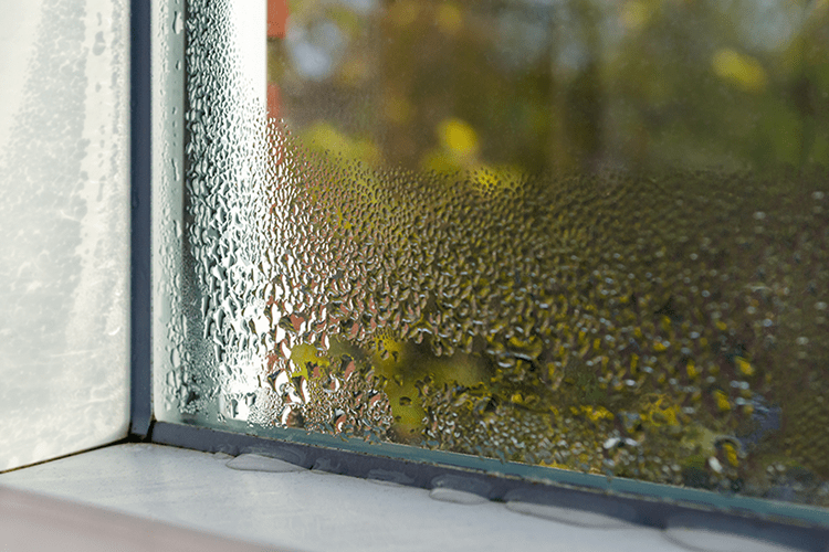 Image of condensation on window. Why You Need Whole-House Humidity Control.